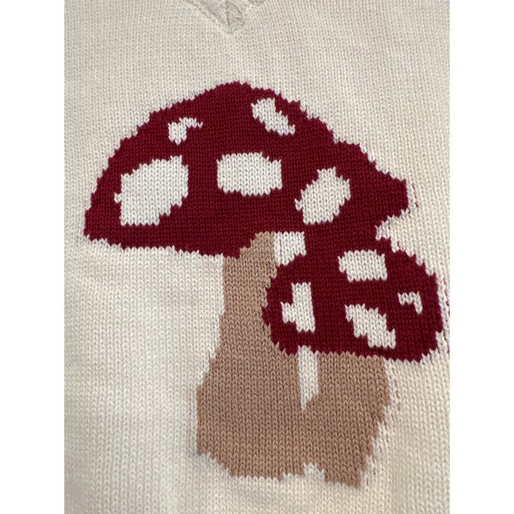 Hollister Mushroom Sweater Best Size Small - Picture 3 of 8